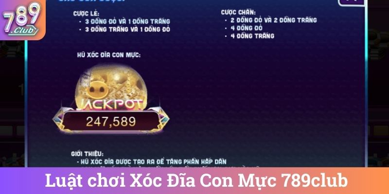 Luat choi Xoc Dia Con Muc 789club Luật chơi Xóc Đĩa Con Mực 789club